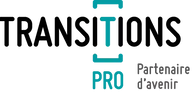 Logo Transitions Pro